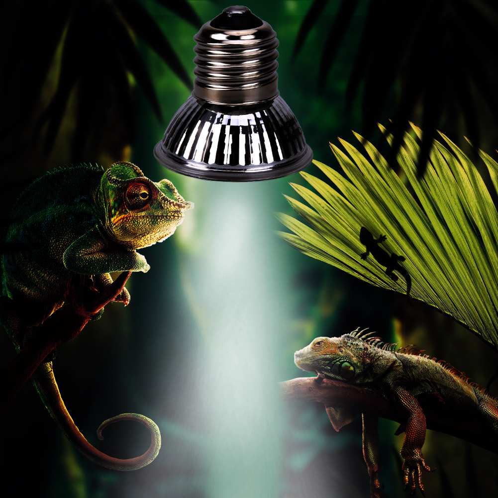 pet heizung lampe und uvb licht e27 uva glühbirne brooder reptil wärme